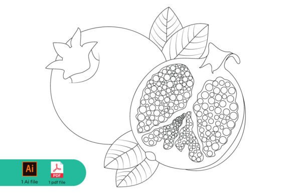 Pomegranate Coloring Page and Line Art: High-Quality Editable File